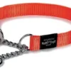 Rogz For Dogs Lumberjack Halfslip Halsband Oranje -TuckerCare 27832