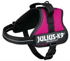 Julius K9 Power-Harnas / Tuig Voor Labels Fuchsia 9 Julius K9 Power-Harnas / Tuig Voor Labels Fuchsia -TuckerCare 361647