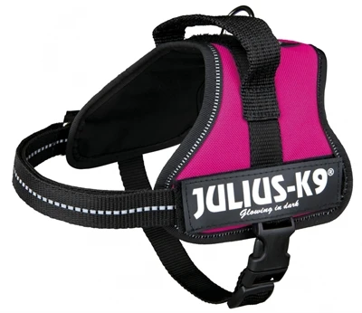 Julius K9 Power-Harnas / Tuig Voor Labels Fuchsia 5 Julius K9 Power-Harnas / Tuig Voor Labels Fuchsia - Afbeelding 3