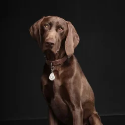 Tickless Teek En Vlo Afweer Voor Hond En Kat Beige -TuckerCare 379959 02