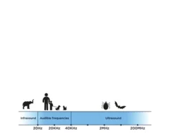 Tickless Teek En Vlo Afweer Voor Hond En Kat Fluoriserend Oranje -TuckerCare 380528 04