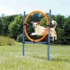 Trixie Dog Activity Agility Ring Blauw / Oranje -TuckerCare 380834