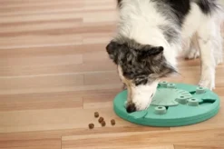 Nina Ottosson Dog Worker Composiet -TuckerCare 382142 04