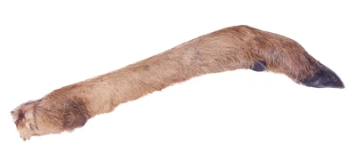 Petsnack Reeenpoot Met Haar 4 Petsnack Reeenpoot Met Haar - Afbeelding 2