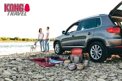 Kong Reistas 5-Delig 4 Kong Reistas 5-Delig - Afbeelding 2