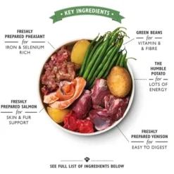 Lily’s Kitchen Dog Wild Campfire Stew -TuckerCare 399103 02