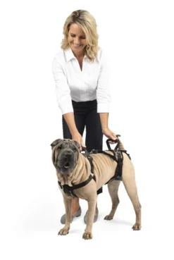 Solvit Petsafe Carelift Voor En Achter -TuckerCare 408873 04