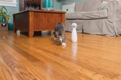 Petsafe Bolt 4 Petsafe Bolt - Afbeelding 2