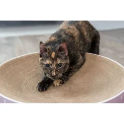 Trixie Krabmand Lilly Karton Catnip Lila 13 Trixie Krabmand Lilly Karton Catnip Lila -TuckerCare 410581 04