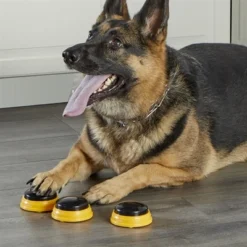 Hunger For Words Talking Pet Next Words Names -TuckerCare 411083 04