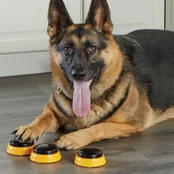 Hunger For Words Talking Pet Next Words Names -TuckerCare 411083 05