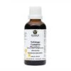 De Groene Os Solidago Complex Hond / Kat -TuckerCare 412493
