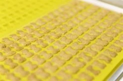 Trixie Bakmat Met Botjes Voor Hond Silicone -TuckerCare 412820 06