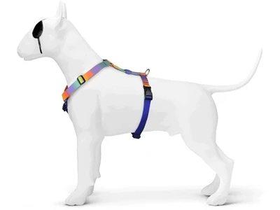 Morso Hondentuig H-Tuig Gerecycled Spring Blossom 4 Morso Hondentuig H-Tuig Gerecycled Spring Blossom - Afbeelding 2