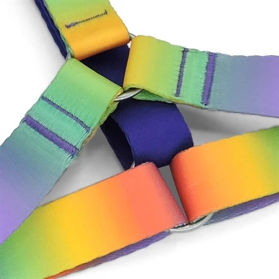 Morso Hondentuig H-Tuig Gerecycled Spring Blossom 9 Morso Hondentuig H-Tuig Gerecycled Spring Blossom - Afbeelding 7