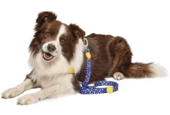 Morso Hondenriem Gerecycled Color Invaders Paars -TuckerCare 413773 02