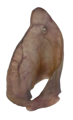 Petsnack Varkensoren -TuckerCare 43863