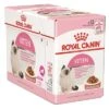 Royal Canin Wet Kitten 2 Royal Canin Wet Kitten -TuckerCare 51999