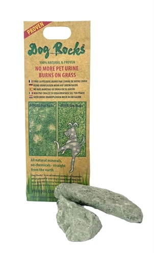 Dog Rocks 3 Dog Rocks